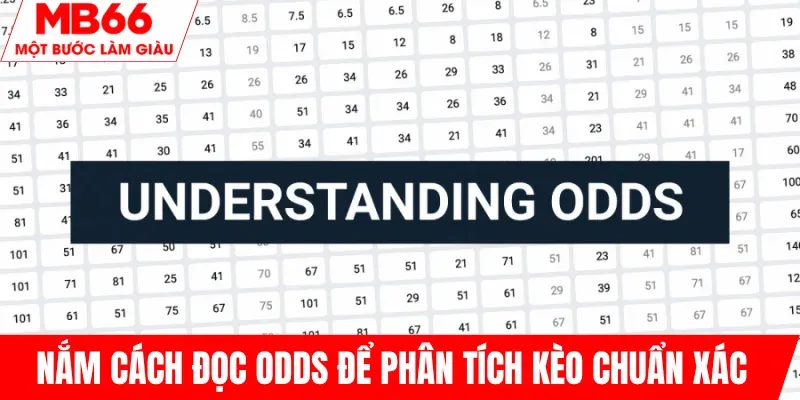 cach-doc-odds-de-phan-tich-keo-chinh-xac