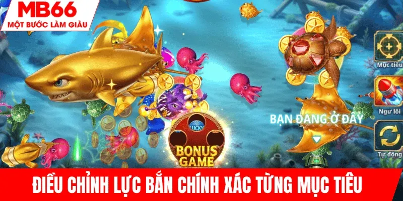 chinh-luc-ban-chinh-xac-tung-muc-tieu