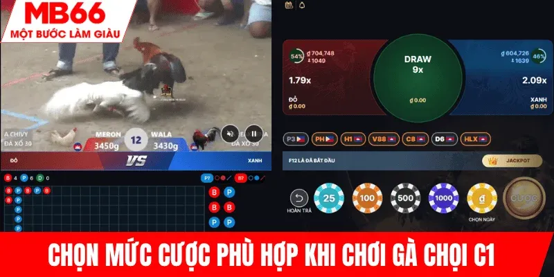 chon-muc-cuoc-phu-hop-ga-choi-c1