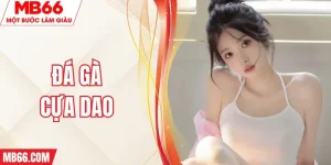 da-ga-cua-dao-mb66