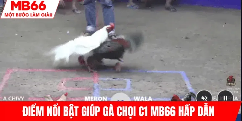 diem-noi-bat-ga-choi-c1-mb66-hap-dan