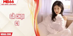 ga-choi-c1-mb66