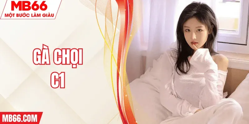 ga-choi-c1-mb66