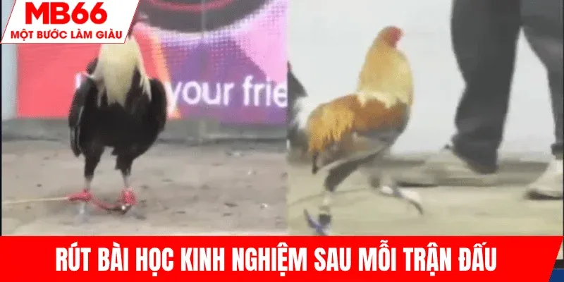 hoc-hoi-rut-kinh-nghiem-tung-tran