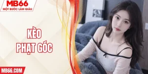 keo-phat-goc-mb66