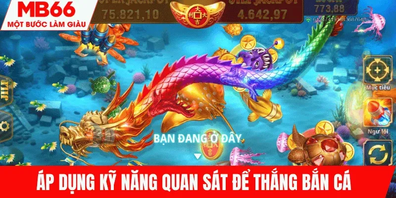 ket-hop-ky-nang-quan-sat-ban-ca