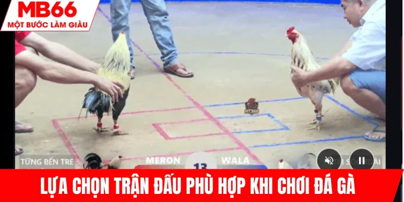 lua-chon-tran-dau-phu-hop-da-ga