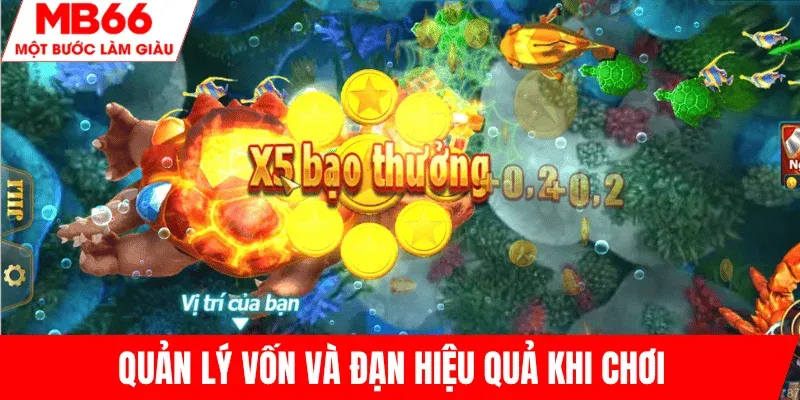 quan-ly-von-va-dan-hieu-qua-ban-ca