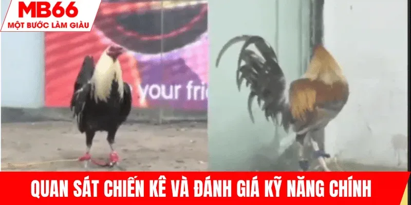 quan-sat-danh-gia-ky-nang-chien-ke