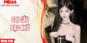 soi-cau-bac-nho-mb66