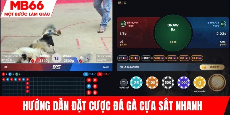 tham-gia-cuoc-da-ga-cua-sat-nhanh