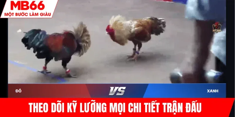 theo-doi-ky-luoc-moi-chi-tiet-tran-dau