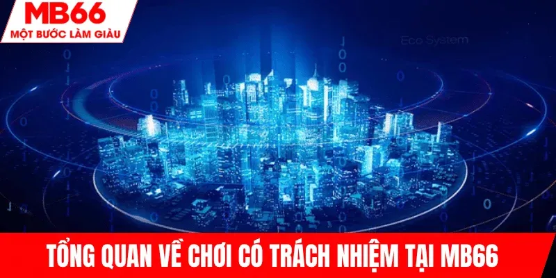 tim-hieu-chinh-sach-choi-co-trach-nhiem-mb66