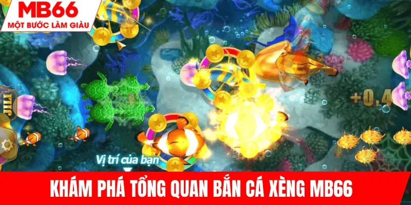 tong-quan-ban-ca-xeng-mb66-la-gi