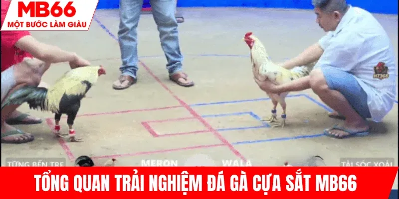 tong-quan-game-da-ga-cua-sat-mb66