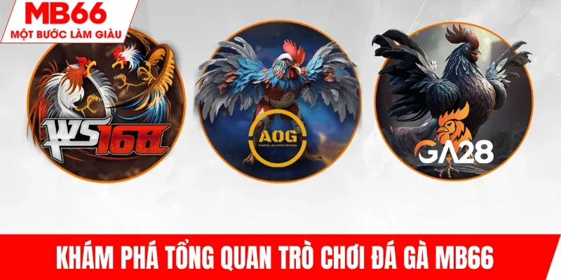tong-quan-tro-choi-da-ga-mb66-day-du