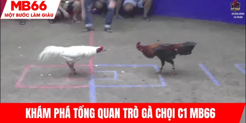 tong-quan-tro-choi-ga-choi-c1-mb66