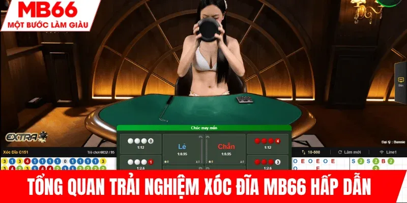 trai-nghiem-tong-quan-xoc-dia-mb66-hap-dan