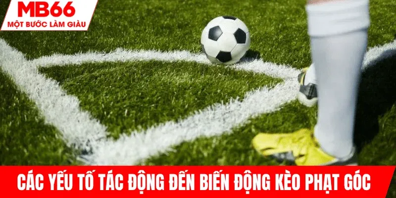 yeu-to-anh-huong-bien-dong-keo-phat-goc